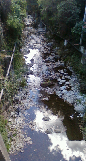 stream